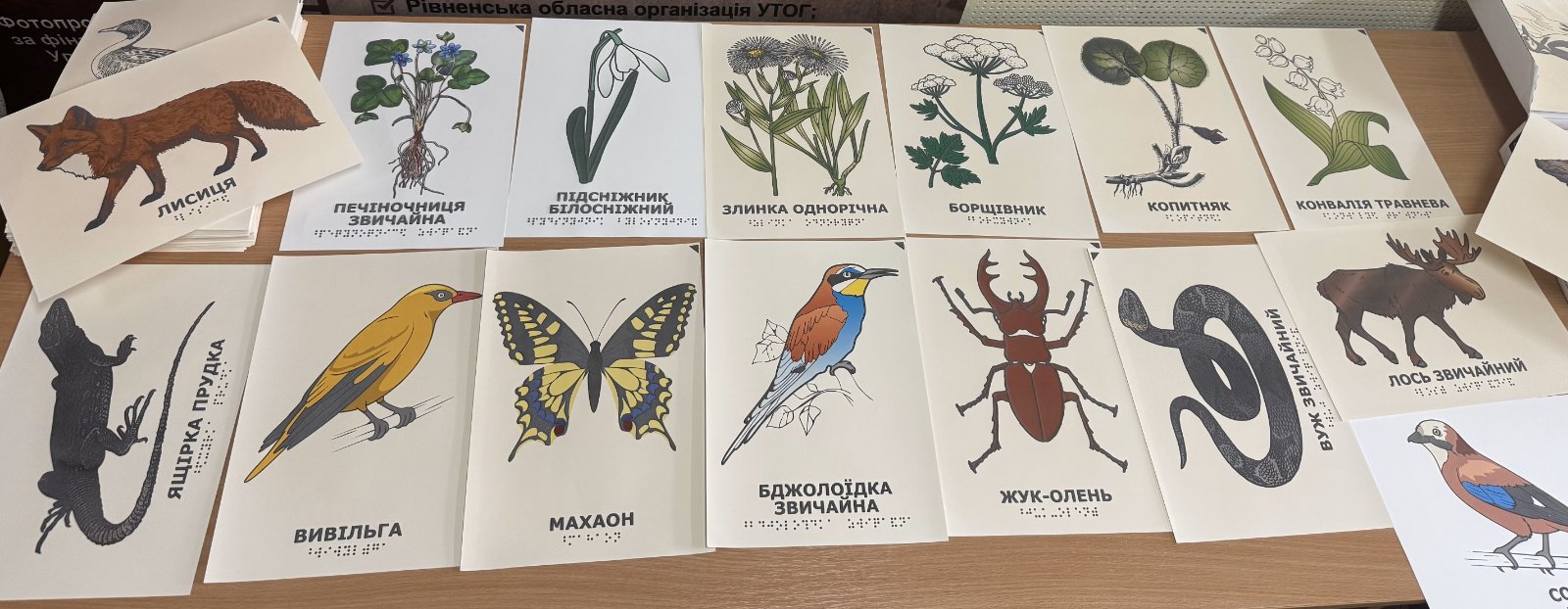 інклюзивні малюнки для людей з порушеннями зору.